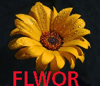 FLWOR Foundation